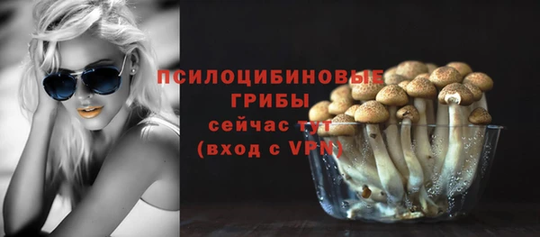 метадон Дмитриев
