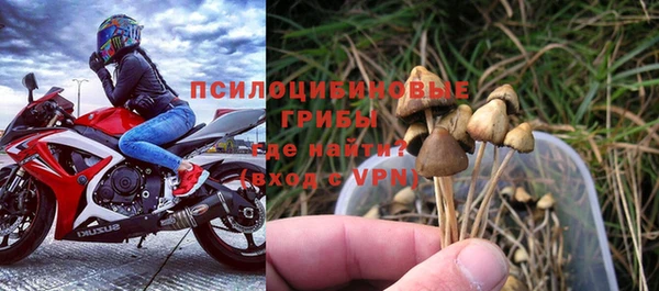 индика Гусь-Хрустальный