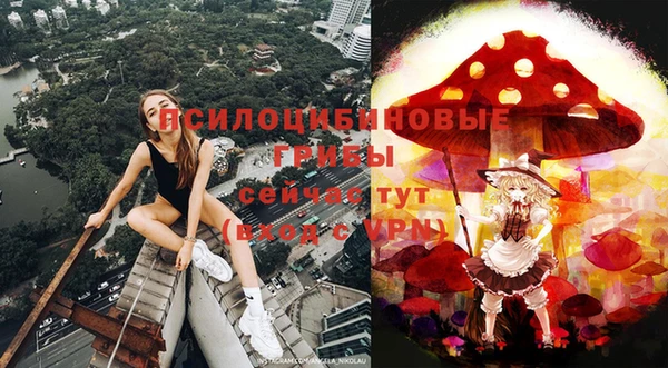 мдма Дмитров