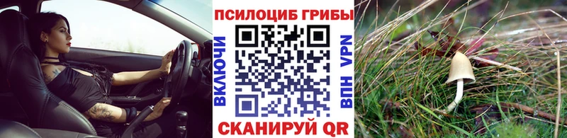 Галлюциногенные грибы мухоморы  цена   Дудинка 